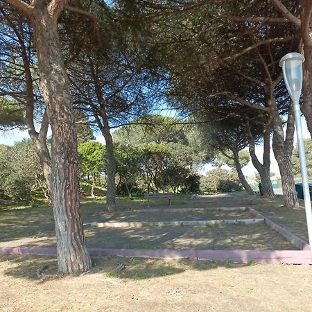 Lara 2 - T2 Balcon Piscine Lit Double & Clic-Clac Parking Pres Du Centre-Port Et Ile Loisirs Agde Luaran gambar