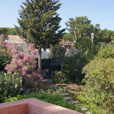Lara 2 - T2 Balcon Piscine Lit Double & Clic-Clac Parking Pres Du Centre-Port Et Ile Loisirs Agde Luaran gambar